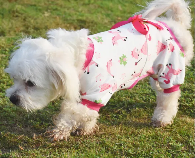 Button-Front Cotton Pajama
