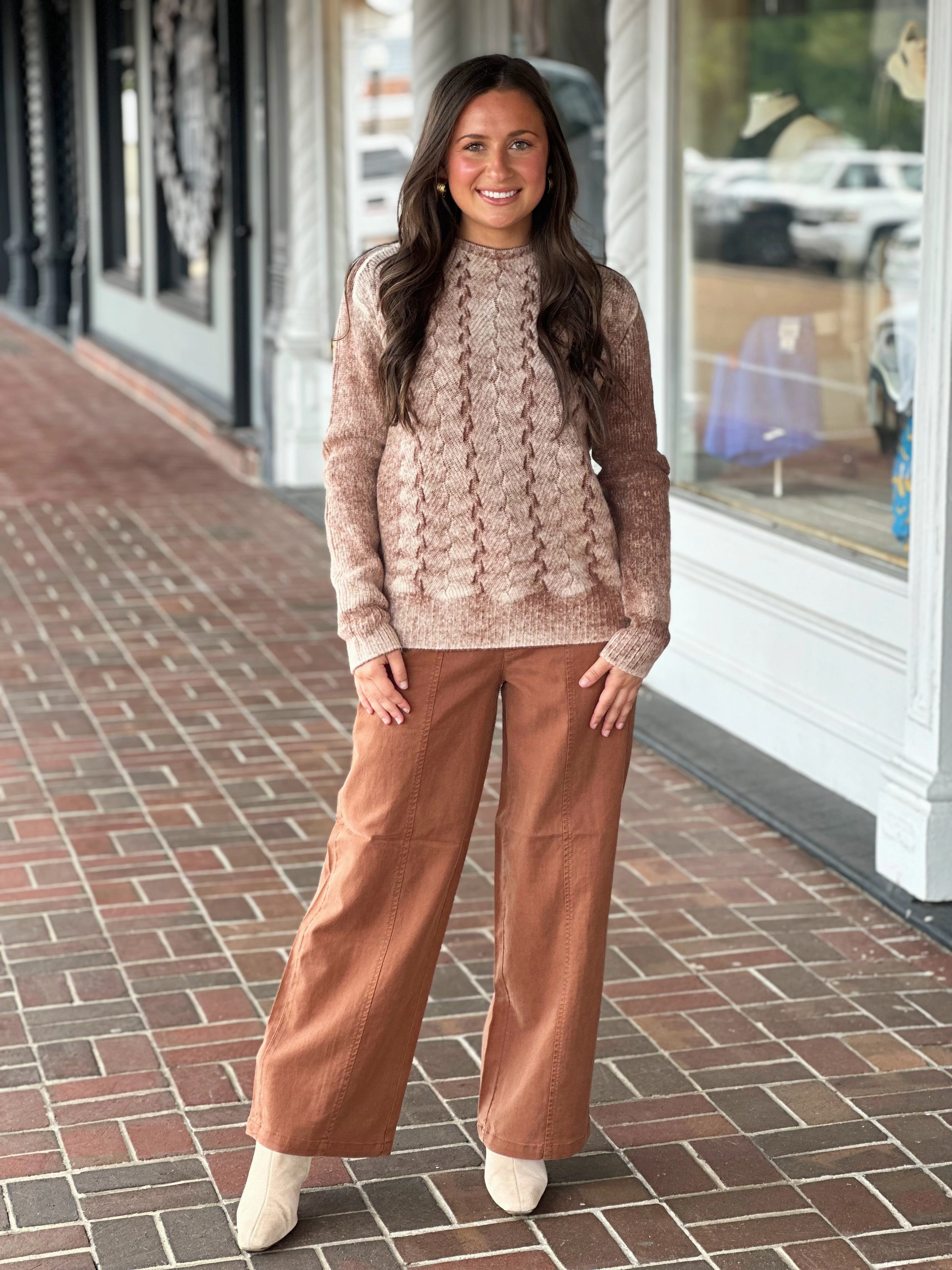 Antibacterial Fabric Charlie B Long Sleeve Crew Sweater in Sepia