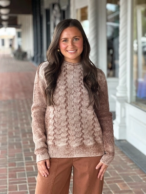 Charlie B Long Sleeve Crew Sweater in Sepia SweatAbsorbent Winter Fashion