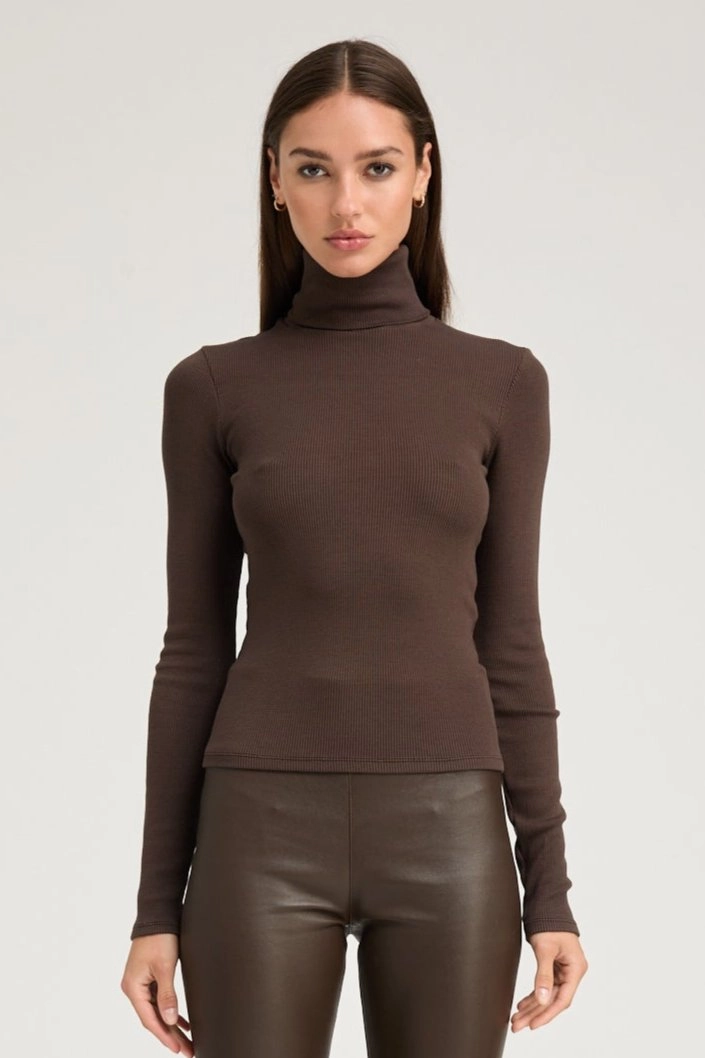 Chocolate Rib Long Sleeve Turtleneck Stretch Blouse