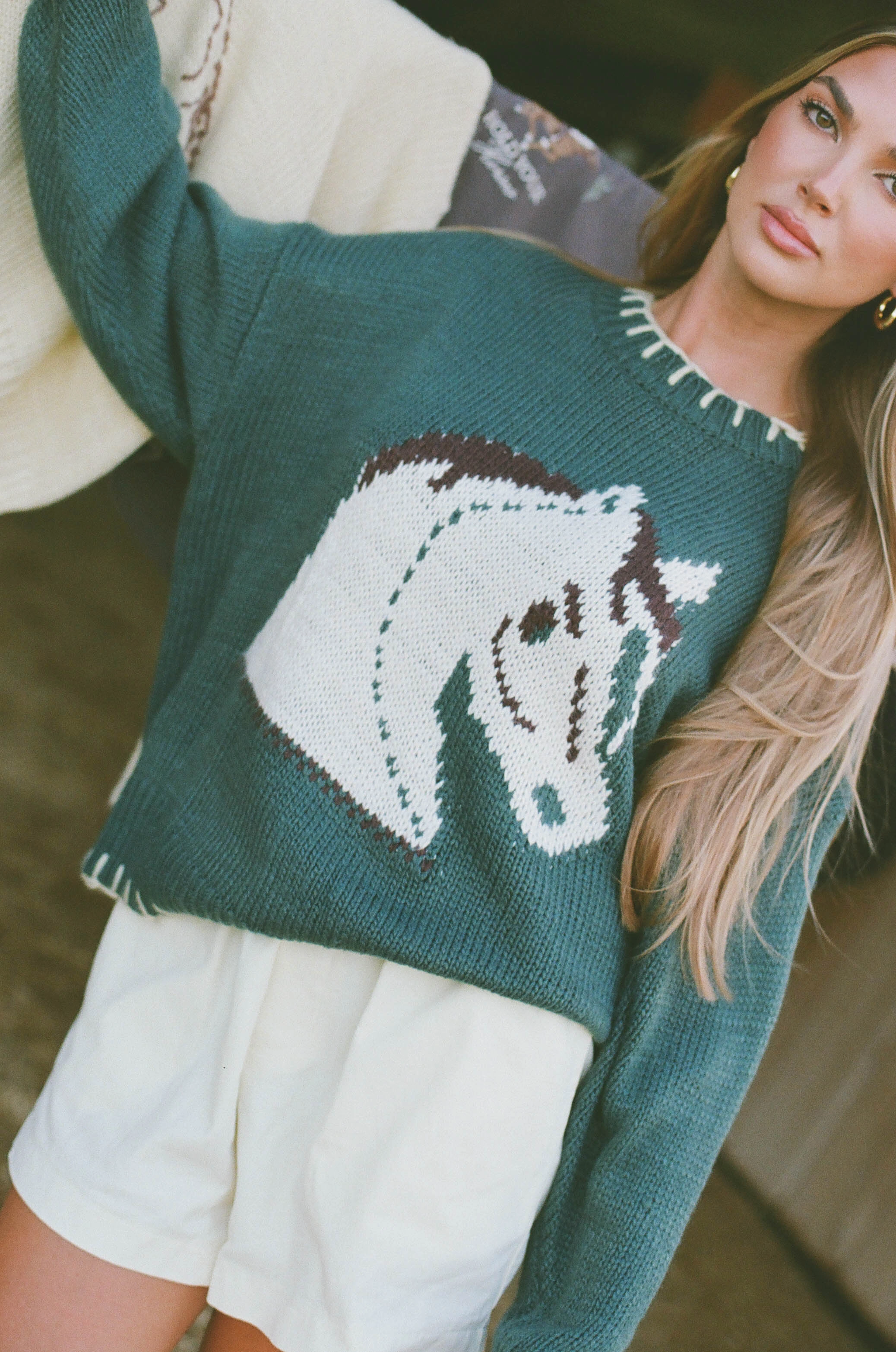 Breathable Tank Fade Resistant Dye Clyde Horse Sweater in Green