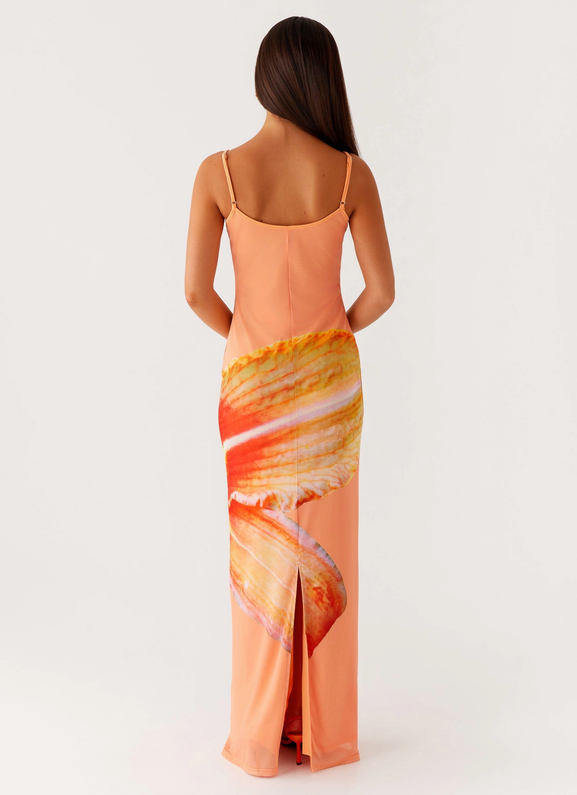 Soft Texture MoldResistantTexture Bad News Mesh Maxi Dress - Orange Floral