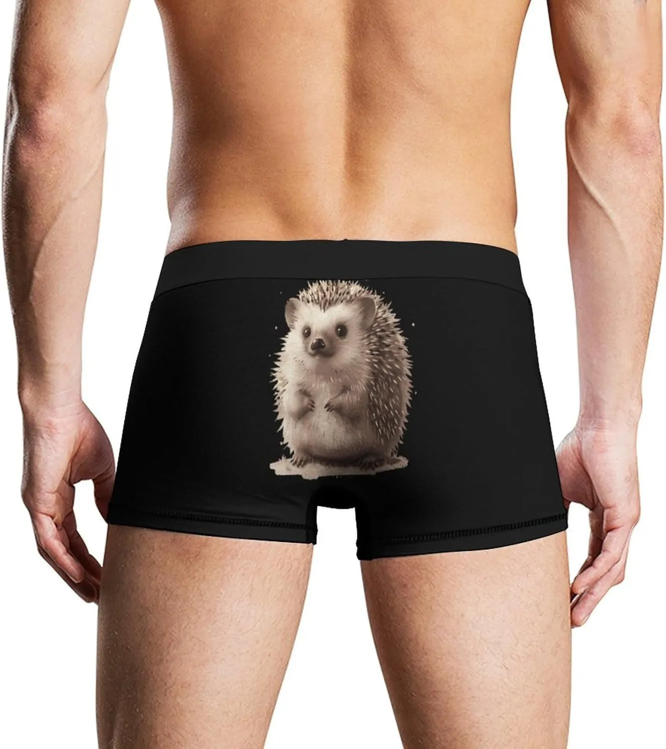 Cute Hedgehog Mens Boxer Brief Funny Underwear Trunks Breathable Soft Printed Shorts