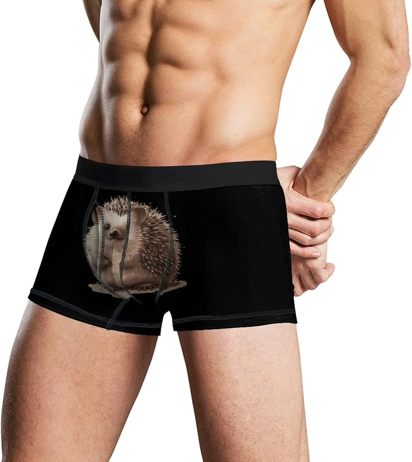 Cute Hedgehog Mens Boxer Brief Funny Underwear Trunks Breathable Soft Printed Shorts