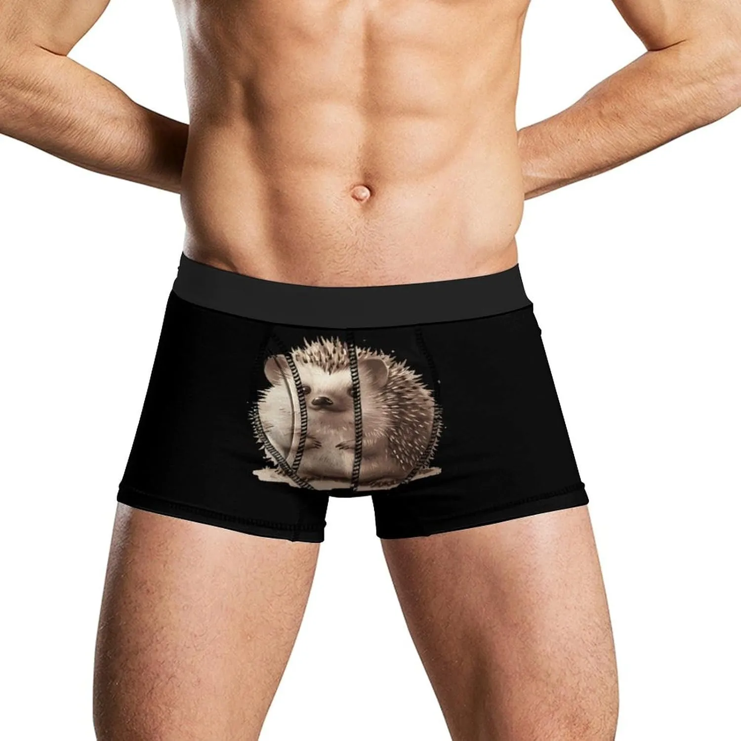 Cute Hedgehog Mens Boxer Brief Funny Underwear Trunks Breathable Soft Printed Shorts