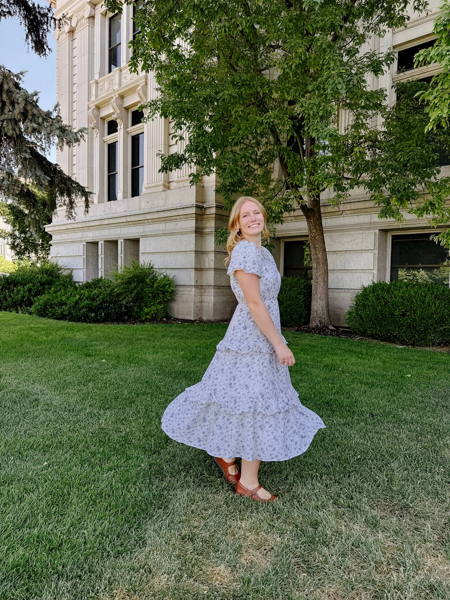 Sheer Overlay Hilary Dress