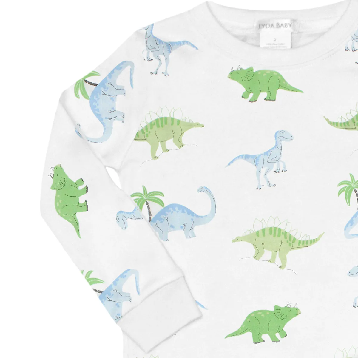 Friendly Dinos Printed Pajama | Boy