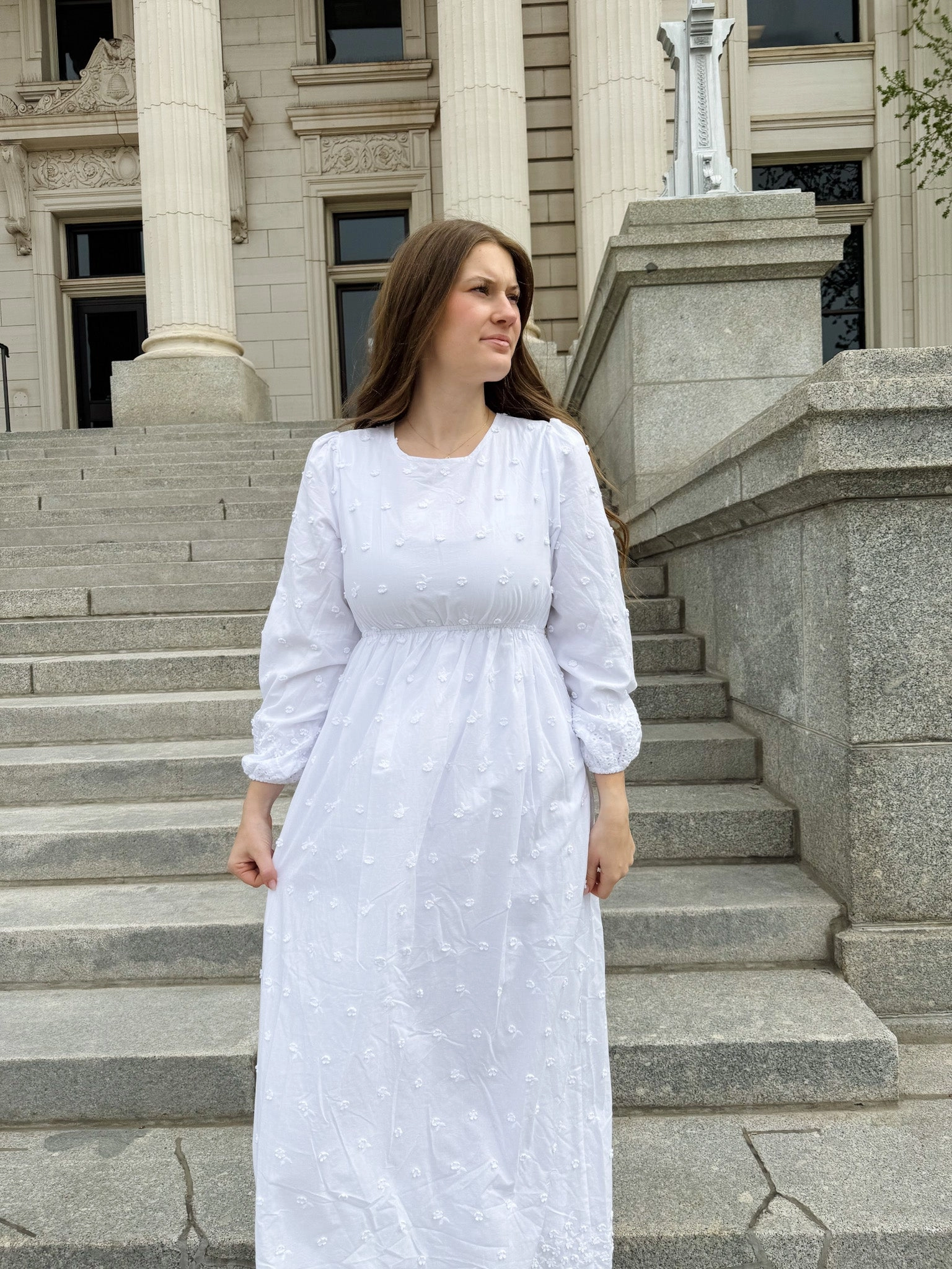 Flare Swing Haven Temple Dress