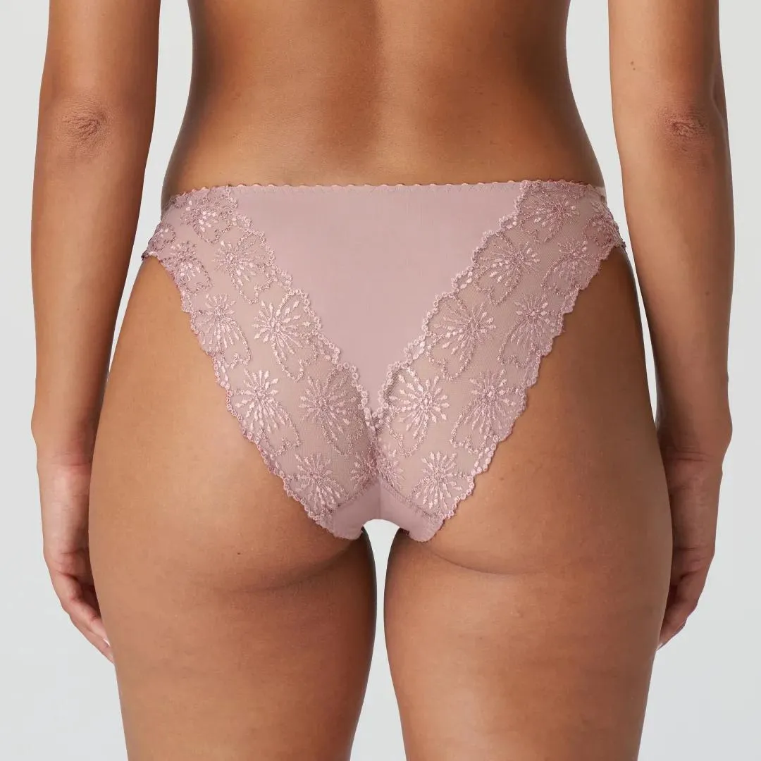 Jane brief