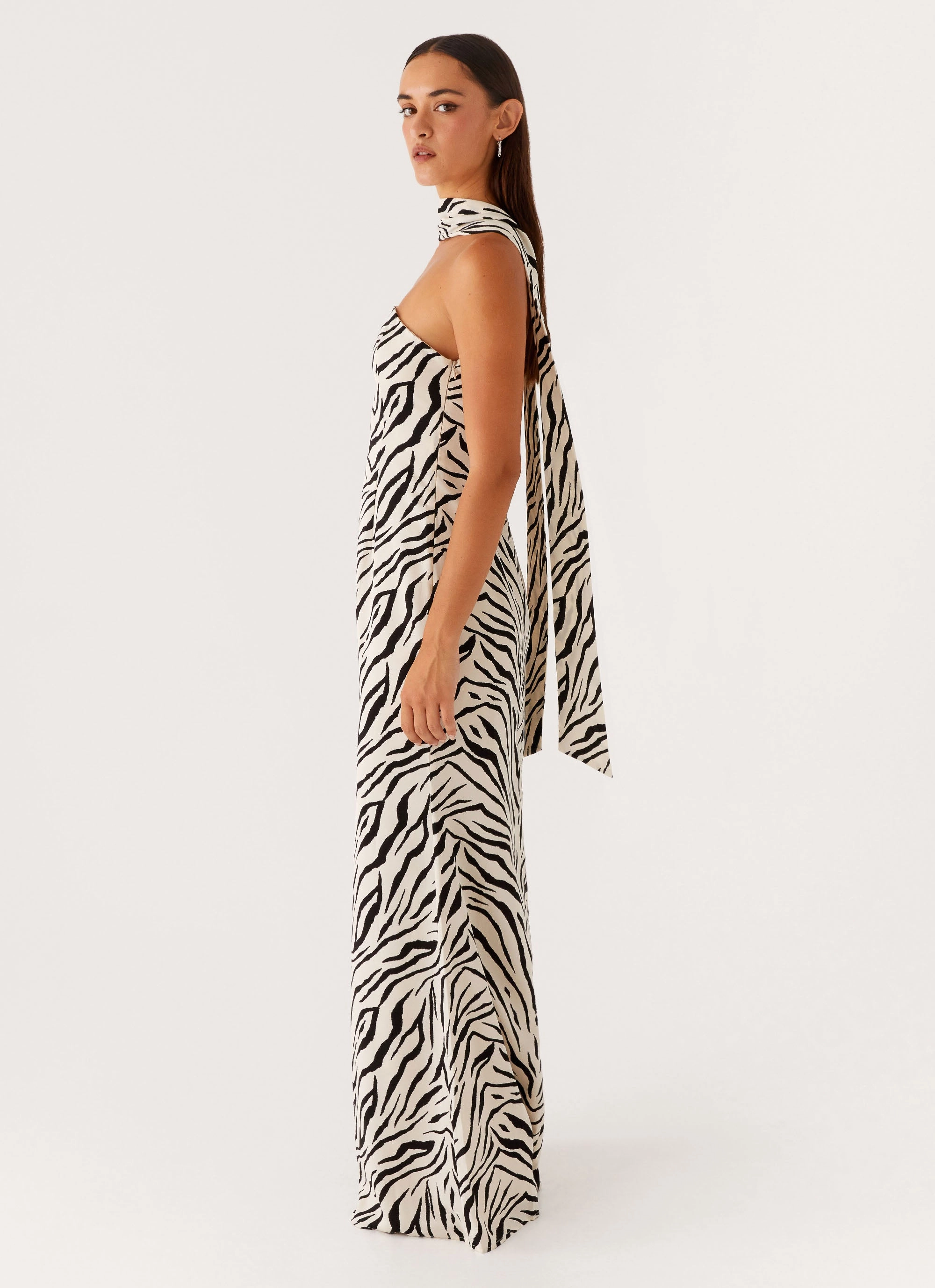 Jigsaw Strapless Maxi Dress - Zebra Perfect Style