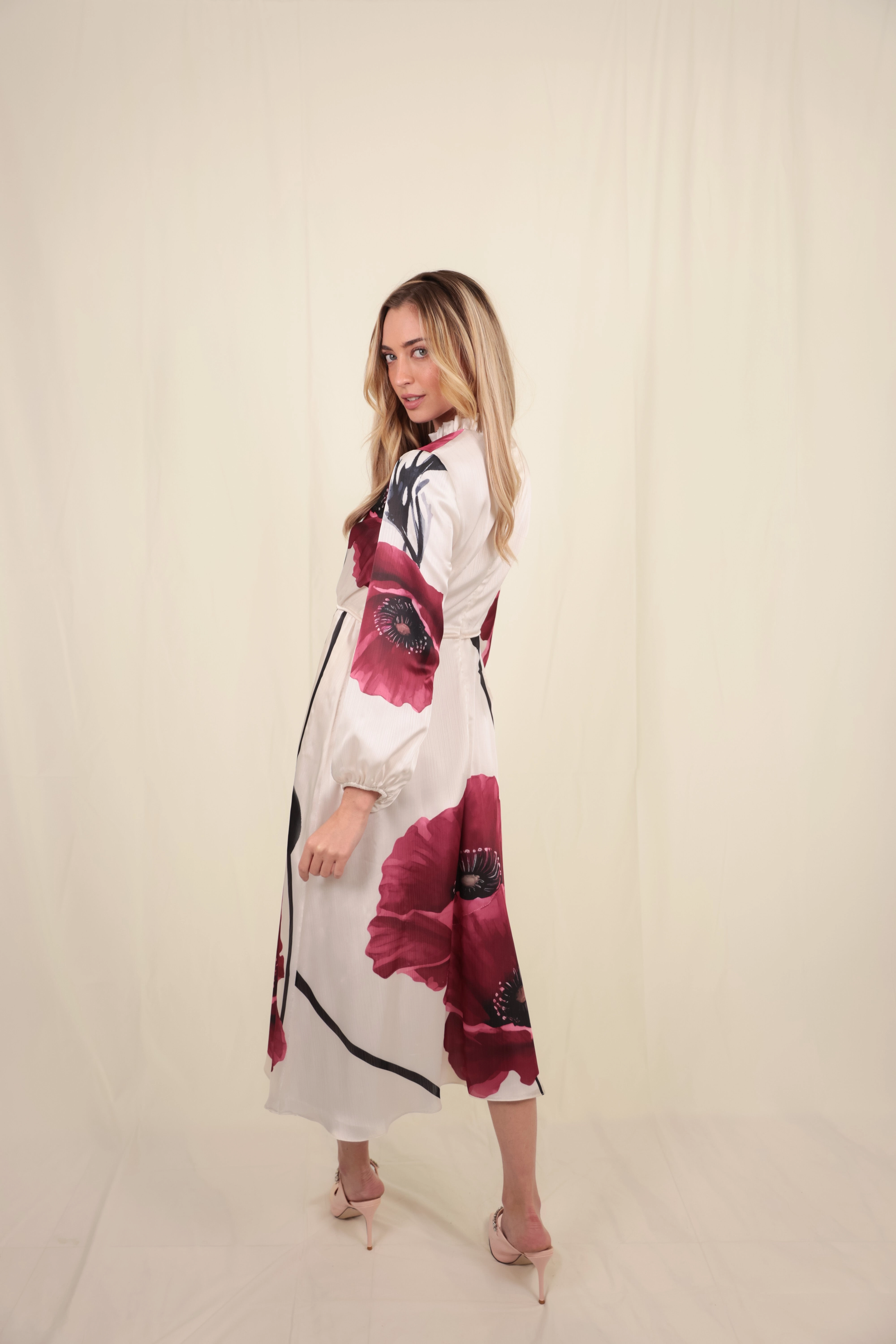 Stylish day dress Sophisticated Fit Monette Dress