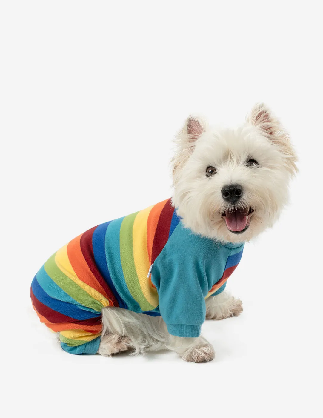 Rainbow Stripes Matching Family Pajama Set