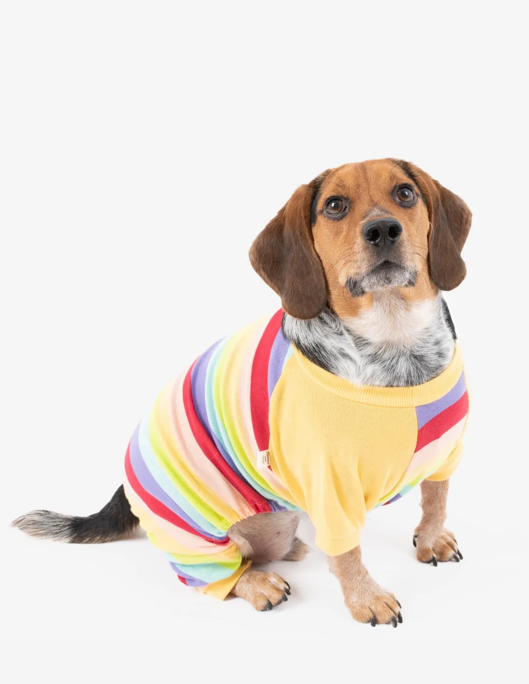 Rainbow Stripes Matching Family Pajama Set