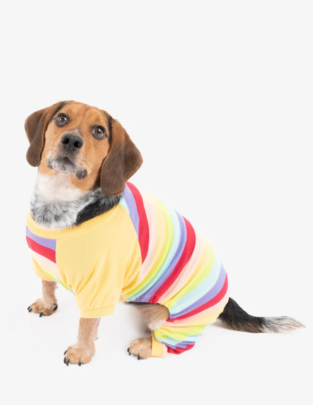 Rainbow Stripes Matching Family Pajama Set