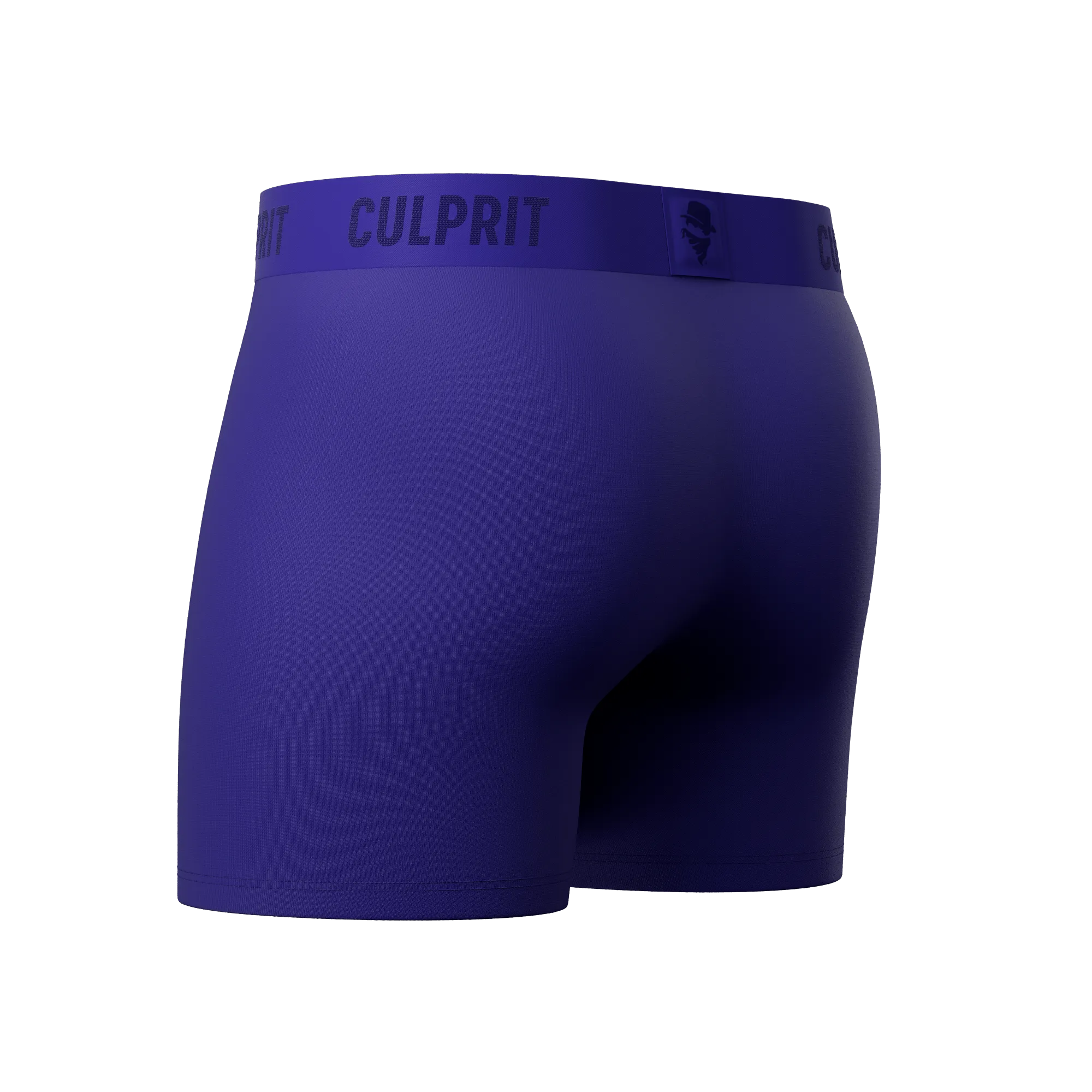 Royal Blue 💎 Boxer Briefs w/ fly