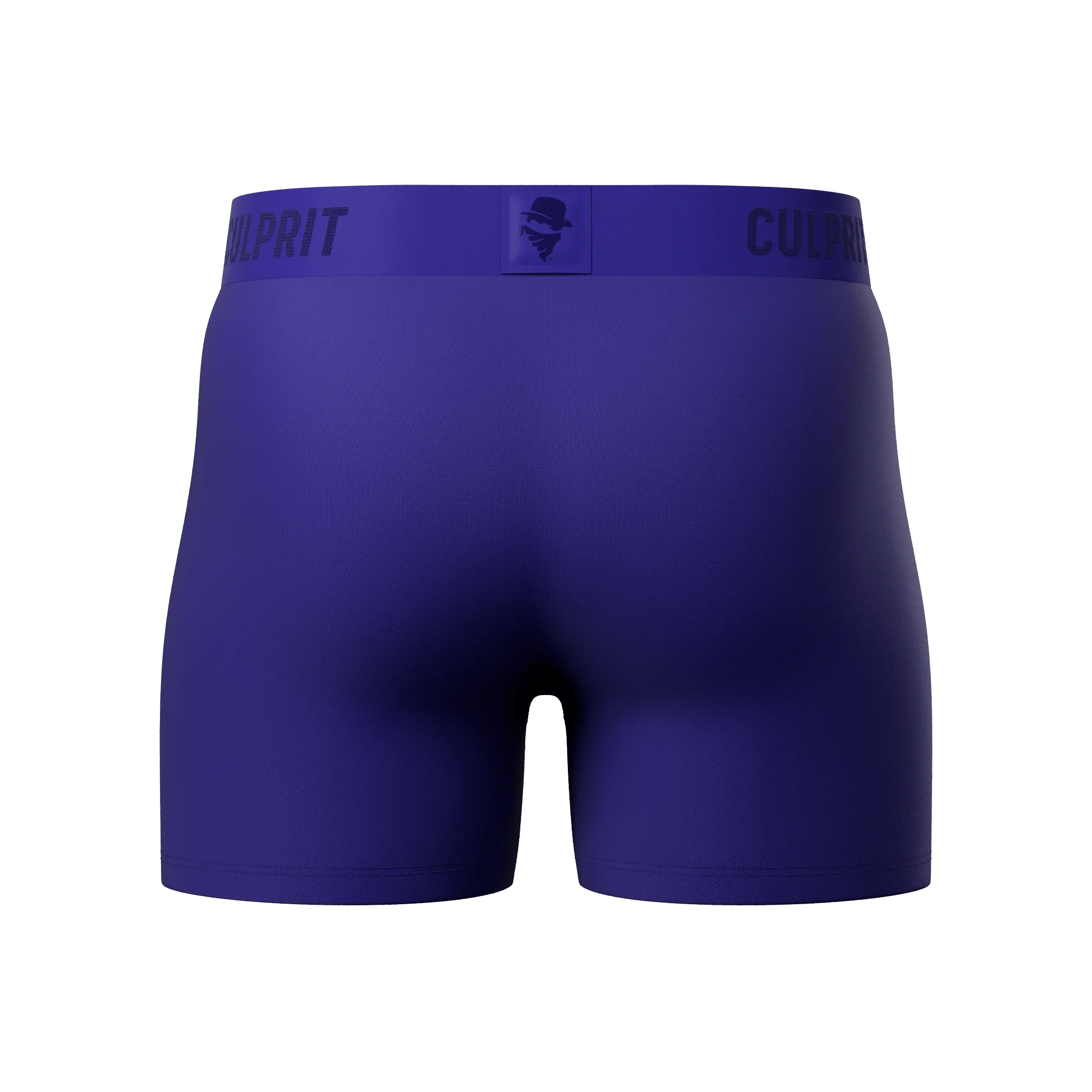 Royal Blue 💎 Boxer Briefs w/ fly