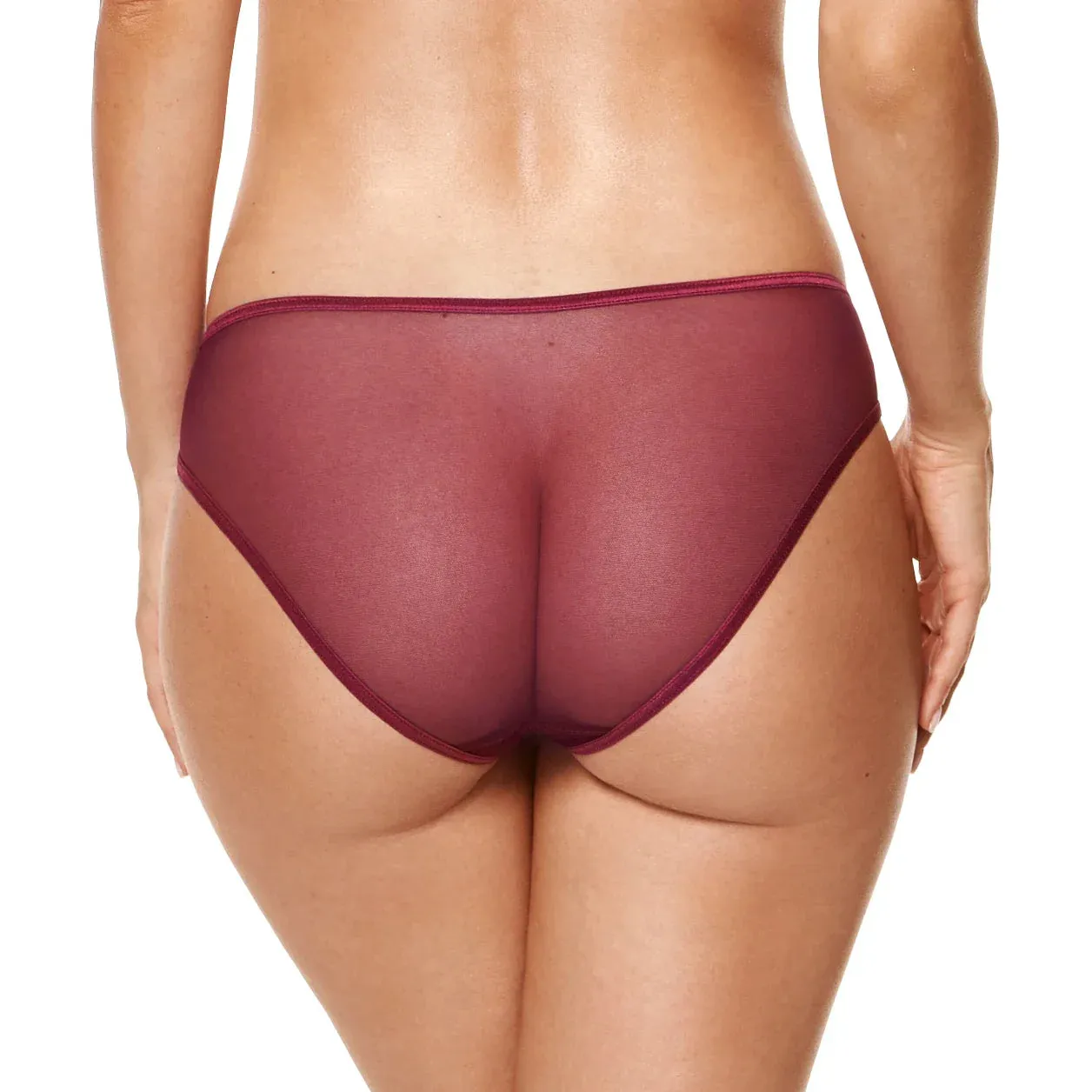 Sheer Mid Rise Bikini Panty Gorteks Coco
