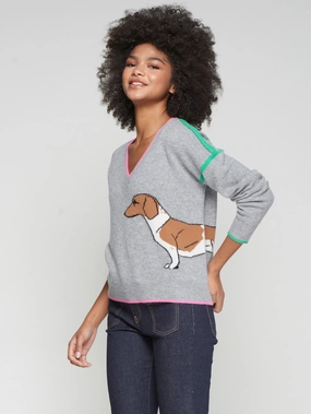 DOG VNECK SWEATER Daily Wear Stretch Fit