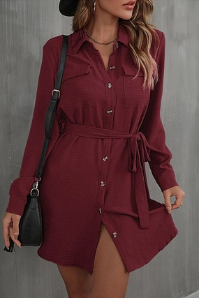 BUTTON DOWN DANDY SHIRTS DRESS Blush Shade Smart Edge