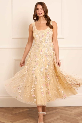 Confetti Scoop Neck Ballerina Dress Silky Shape Unlined Look