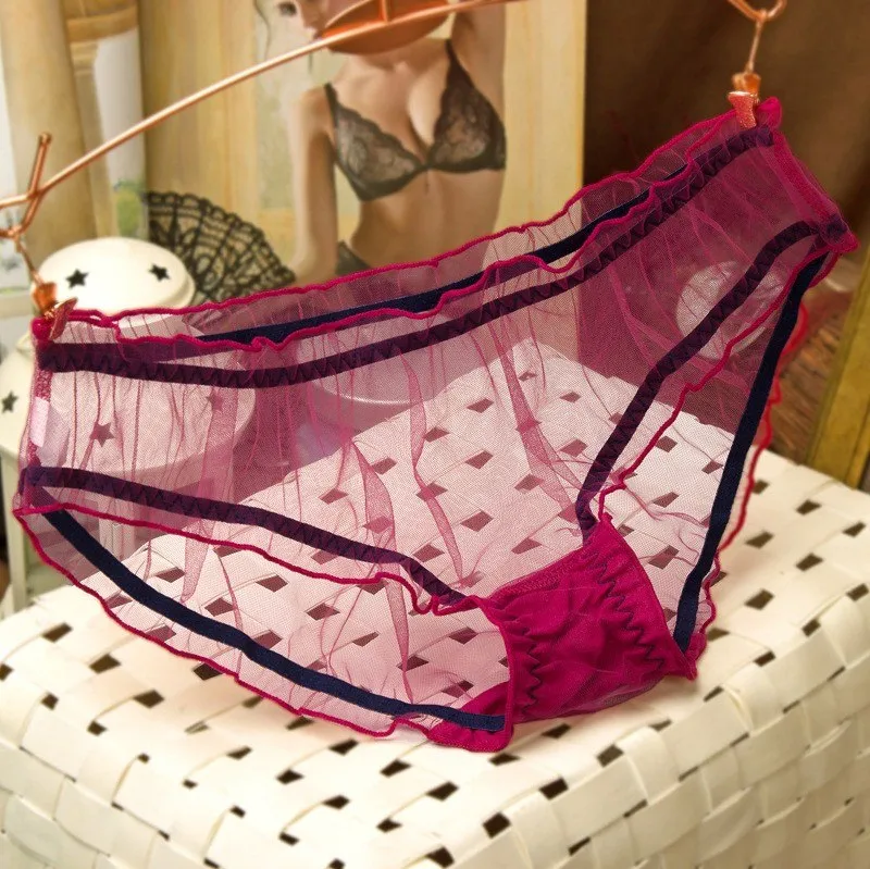 Women's Ultra-Thin Mesh Transparent Panties
